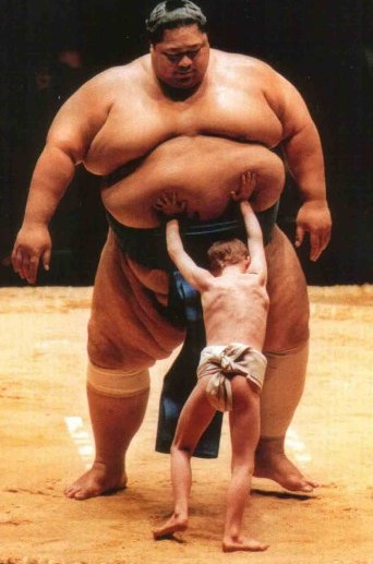 Photo d'un petit enfant essayant de pousser un sumo