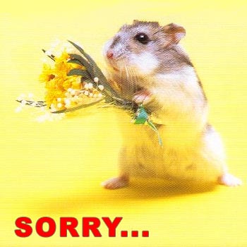 Photo d'un rongeur avec un bouquet de fleur intitulée: sorry