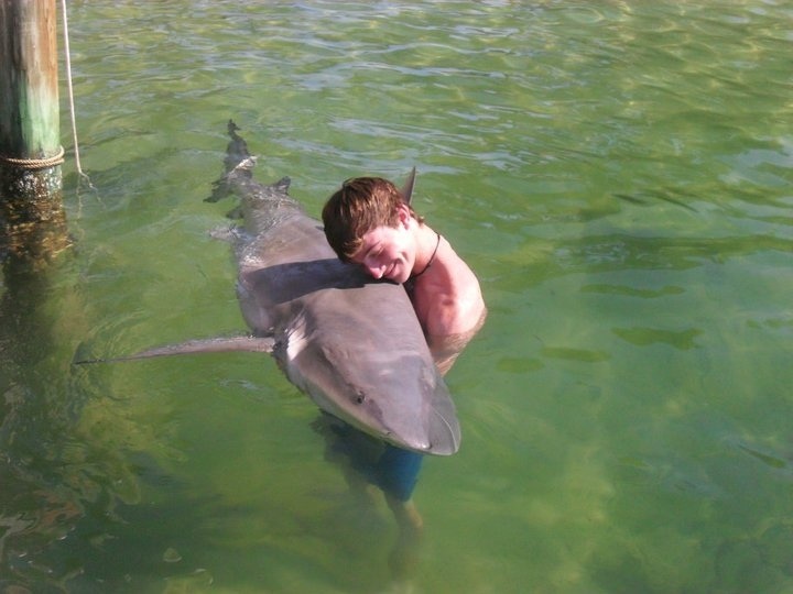 Photo d'un homme faisant un calin à un requin