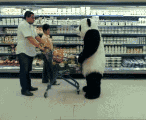 Gif animé d'un panda renversant un cadi